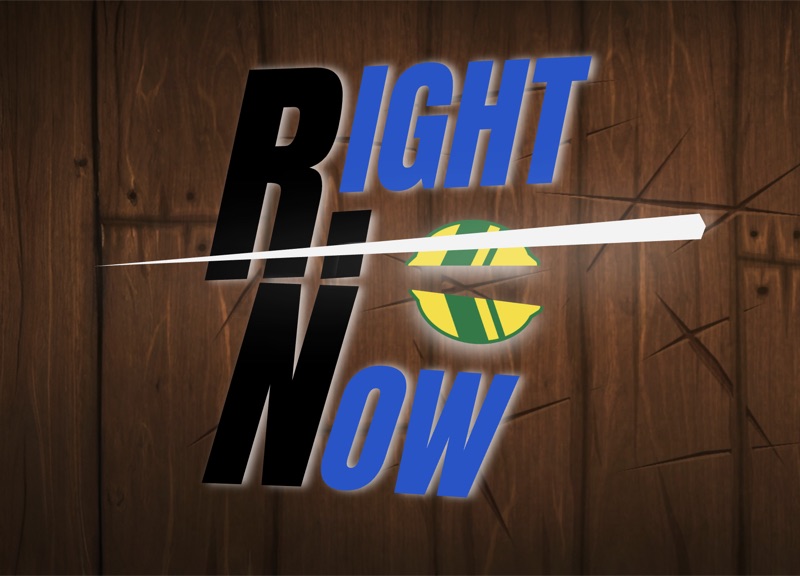 Fruit Ninja Desktop Saver preview